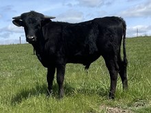 A&S Coos Bay